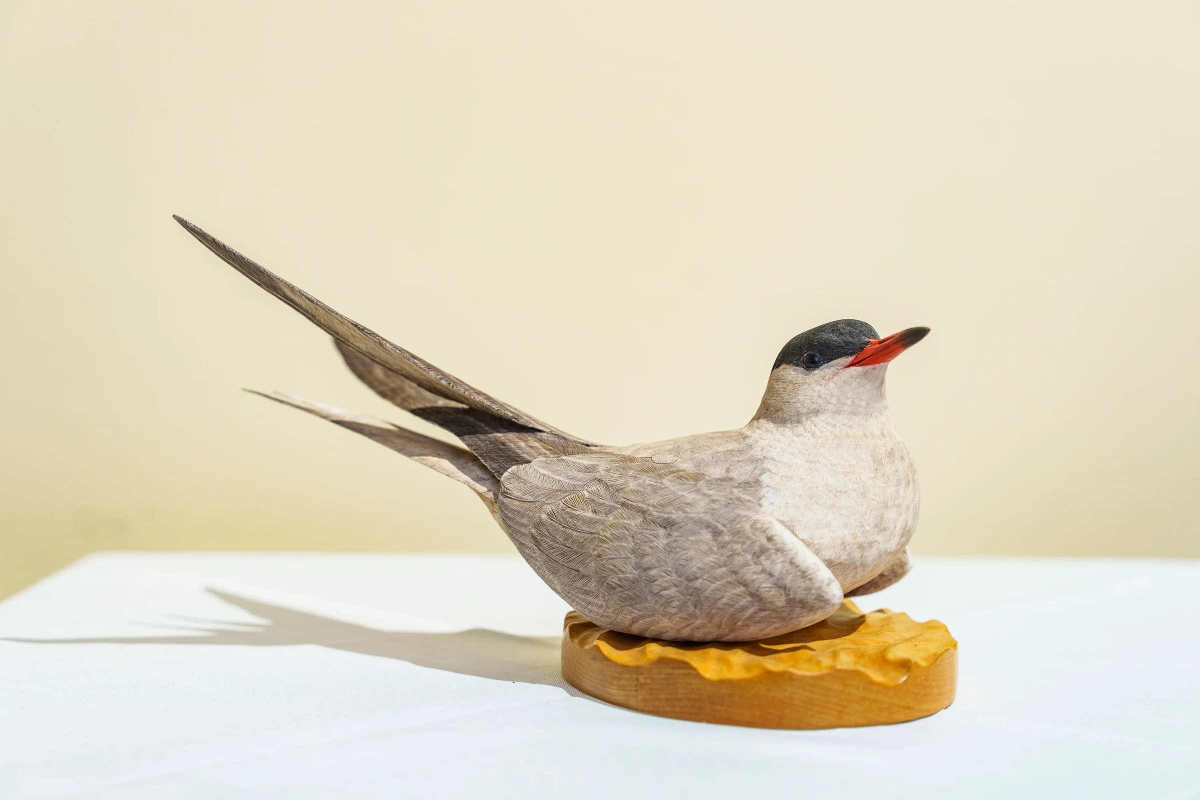 Common Tern sculpture, full body view on wooden base